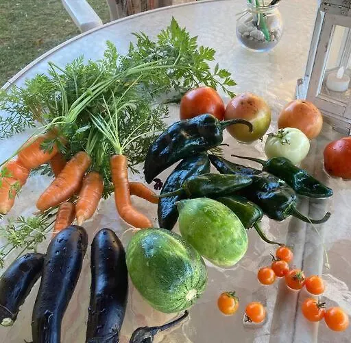 Natural Healing Oasis With Organic Veggie Gardens Holiday home