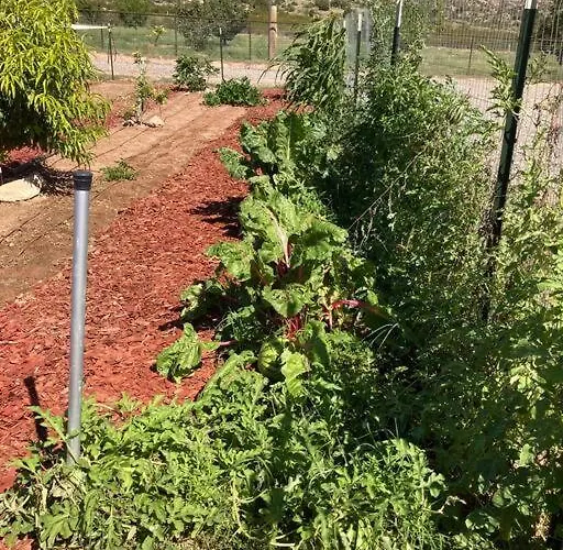 Natural Healing Oasis With Organic Veggie Gardens Holiday home *